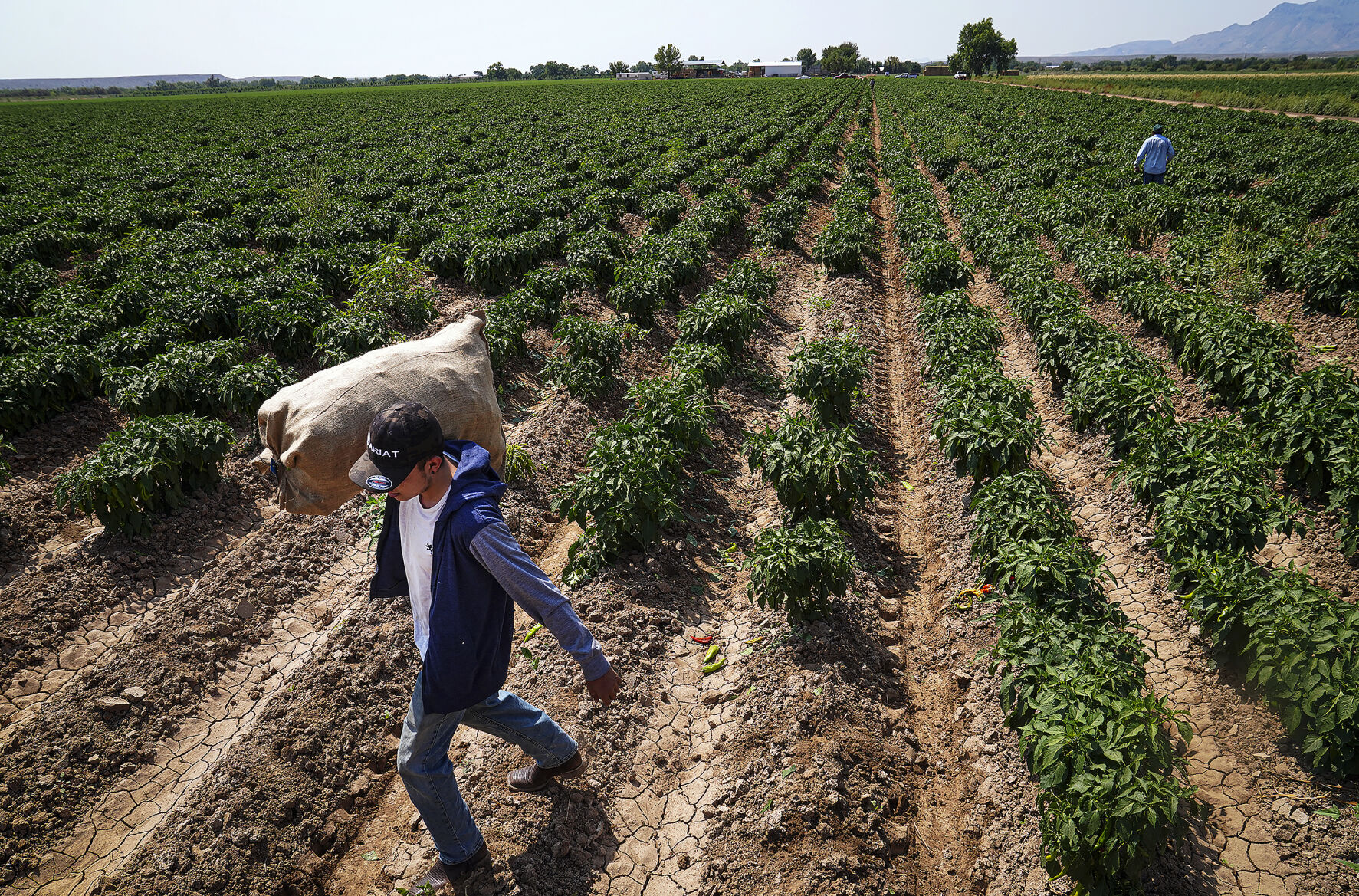 083020_DroughtFarmer_03-rgb.jpg